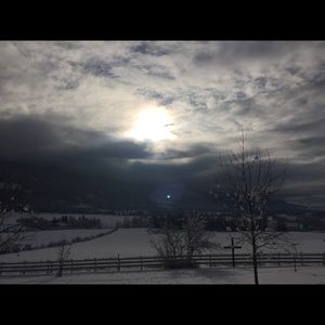 Meet your Posher, Dakota